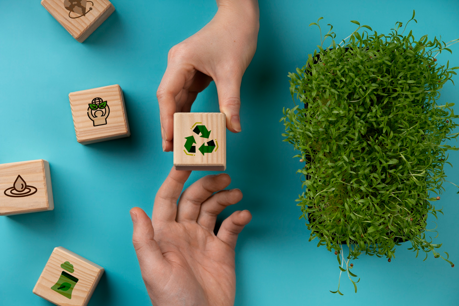 Representación digital de créditos de carbono conectados a tecnología blockchain en un entorno empresarial verde.